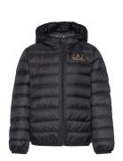 Down Jacket Toppatakki Black EA7