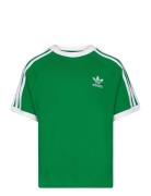 3Stripes Tee Tops T-shirts Short-sleeved Green Adidas Originals