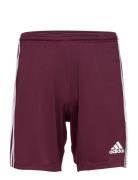 Squadra 21 Short Sport Shorts Sport Shorts Red Adidas Performance