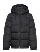 Ripstop Down Hooded Jacket Toppatakki Black Ralph Lauren Kids