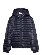 Shiny Light Padded Down Jacket Toppatakki Navy GANT