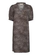 Fqaby-Dress Lyhyt Mekko Brown FREE/QUENT