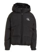 Ck Short Puffer Jacket Toppatakki Black Calvin Klein