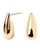 Large Sugar Earrings Accessories Jewellery Earrings Studs Gold PD Paol...