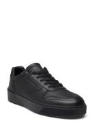 Low Top Lace Up Bskt Lth Matalavartiset Sneakerit Tennarit Black Calvi...