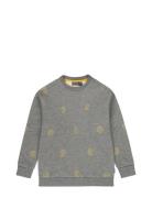 Bach Tops Sweat-shirts & Hoodies Sweat-shirts Grey TUMBLE 'N DRY