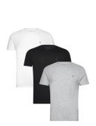 Tonic Ss Crew 3 Pk Tops T-shirts Short-sleeved Grey AllSaints