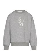 Sweatshirt Tops Sweat-shirts & Hoodies Sweat-shirts Grey Rosemunde Kid...