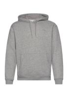 Hco. Guys Sweatshirts Tops Sweat-shirts & Hoodies Hoodies Grey Hollist...