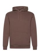 Hco. Guys Sweatshirts Tops Sweat-shirts & Hoodies Hoodies Brown Hollis...