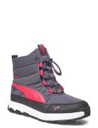 Puma Evolve Boot Puretex Jr Talvisaappaat Grey PUMA