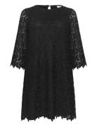 Kcemma Lace Dress Polvipituinen Mekko Black Kaffe Curve