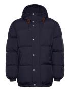 Winter Down Puffer Vuorillinen Takki Topattu Takki Navy GANT