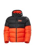 Active Puffy Jacket Vuorillinen Takki Topattu Takki Red Helly Hansen