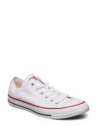 All Star Ox Optical White Matalavartiset Sneakerit Tennarit White Conv...