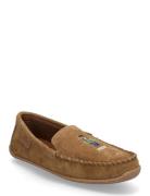 Brenan Polo Bear Suede Slipper Loaferit Matalat Kengät Brown Polo Ralp...