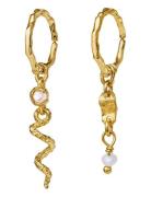 Evelyn Earrings Korvakoru Korut Gold Maanesten