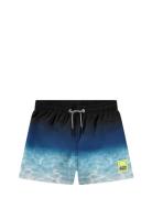 Niko Uimashortsit Blue Molo