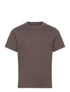 Short Boxy Heavyweight T-Shirt Tops T-shirts Short-sleeved Brown Weekd...