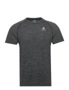 Odlo Essential Seamless T-Shirt Crew Neck S/S Sport T-shirts Short-sle...