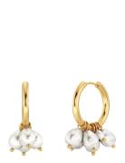 Pearl Signet Hoops Accessories Jewellery Earrings Hoops Gold Edblad