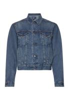 Denim Trucker Jacket Farkkutakki Denimtakki Blue Polo Ralph Lauren