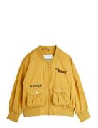 Dog Nylon Baseball Jacket Emb Ohut Takki Kuoritakki Yellow Mini Rodini