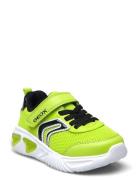 J Assister Boy C Matalavartiset Sneakerit Tennarit Green GEOX