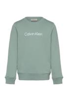 Inst. Logo Regular Cn Tops T-shirts Long-sleeved T-shirts Green Calvin...