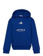 J Allszn Gfx Hd Sport Sweat-shirts & Hoodies Hoodies Blue Adidas Sport...