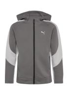 Evostripe Full-Zip Hoodie Dk B Sport Sweat-shirts & Hoodies Hoodies Gr...