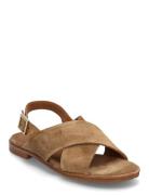 Sandals Matalapohjaiset Sandaalit Brown Billi Bi