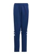 Sq25 Tr Pnt Y Sport Sweatpants Navy Adidas Performance