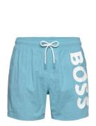 Octopus Uimashortsit Blue BOSS