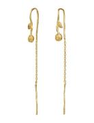 Junia Earrings Korvakoru Korut Gold Maanesten