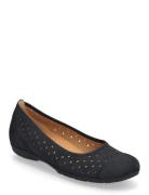 Ballerina Ballerinat Navy Gabor