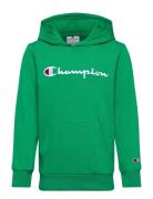 Hooded Sweatshirt Sport Sweat-shirts & Hoodies Hoodies Green Champion