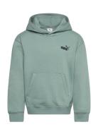 Ess Small No. 1 Logo Relaxed Hoodie Fl B Tops Sweat-shirts & Hoodies H...