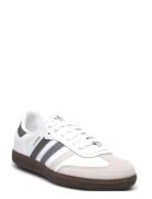 Samba Og C Sport Sneakers Low-top Sneakers White Adidas Originals