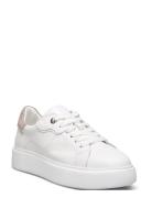 Ardisia Matalavartiset Sneakerit Tennarit White Dasia