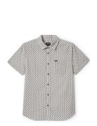 Charter Print S/S Wvn Tops Shirts Short-sleeved Cream Brixton