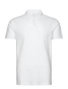 Hco. Guys Knits Tops Polos Short-sleeved White Hollister