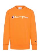 Crewneck Sweatshirt Tops Sweat-shirts & Hoodies Sweat-shirts Orange Ch...