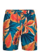 7" Volley Rec Aop Tr Uimashortsit Multi/patterned Original Penguin