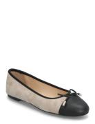 Cate Ballerinat Black Dasia