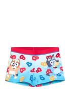 Swimsuit Uimapuku Uima-asut Multi/patterned Bluey