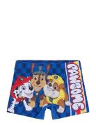 Swimsuit Uimashortsit Blue Paw Patrol