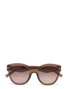 Capacious Aurinkolasit Brown Le Specs