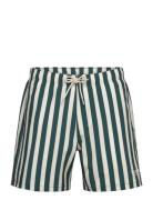Hco. Guys Swim Uimashortsit Navy Hollister