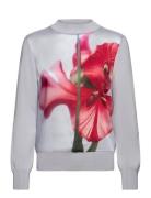 Eloaa Tops Knitwear Jumpers Blue Ted Baker London